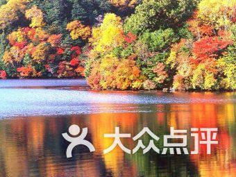 小坦克大战争
